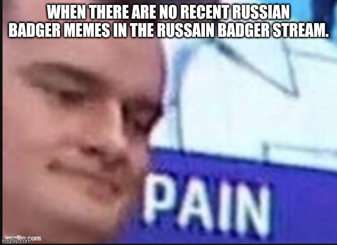 C'mon fellas! |  WHEN THERE ARE NO RECENT RUSSIAN BADGER MEMES IN THE RUSSAIN BADGER STREAM. | image tagged in russian badger | made w/ Imgflip meme maker