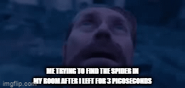 *scared panting* | ME TRYING TO FIND THE SPIDER IN MY ROOM AFTER I LEFT FOR 3 PICOSECONDS | image tagged in gifs,spider,memes,funny | made w/ Imgflip video-to-gif maker