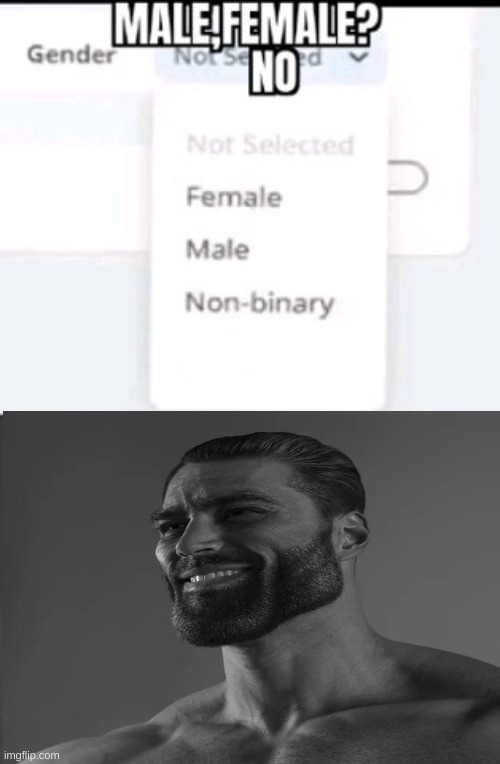 male or female? Nah....business | image tagged in funny memes,good | made w/ Imgflip meme maker