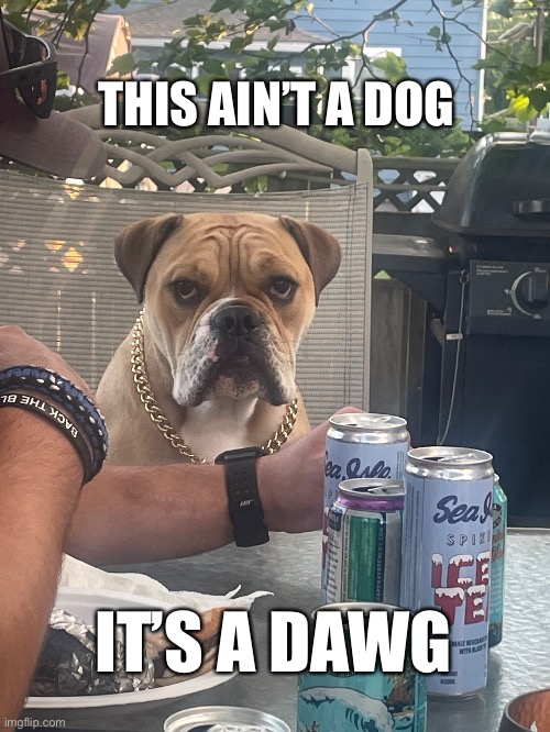 THIS AIN’T A DOG; IT’S A DAWG | image tagged in dawg | made w/ Imgflip meme maker