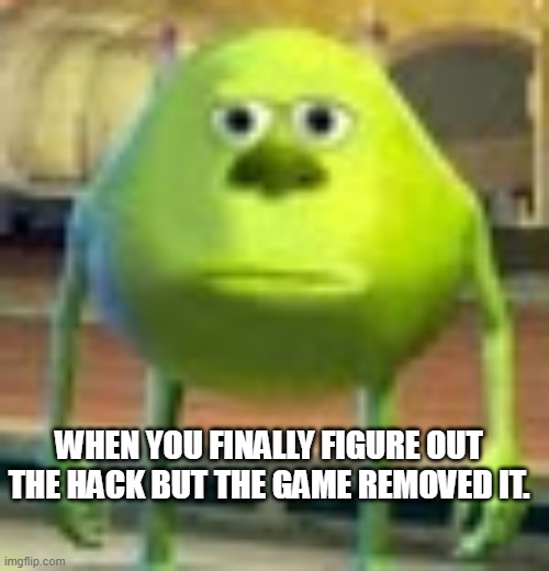 Sully Wazowski | WHEN YOU FINALLY FIGURE OUT THE HACK BUT THE GAME REMOVED IT. | image tagged in sully wazowski | made w/ Imgflip meme maker