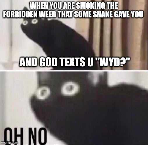 Oh no cat | WHEN YOU ARE SMOKING THE FORBIDDEN WEED THAT SOME SNAKE GAVE YOU; AND GOD TEXTS U "WYD?" | image tagged in oh no cat | made w/ Imgflip meme maker