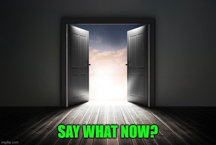 Open door | SAY WHAT NOW? | image tagged in open door | made w/ Imgflip meme maker