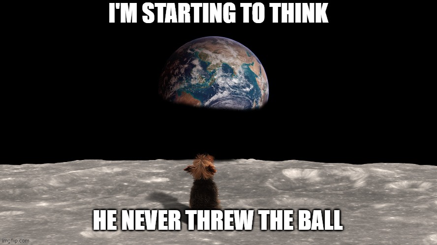 I'M STARTING TO THINK; HE NEVER THREW THE BALL | image tagged in dog on the moon | made w/ Imgflip meme maker