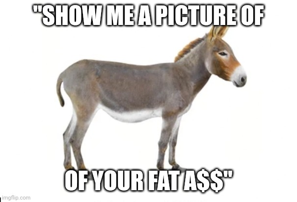 donkee | "SHOW ME A PICTURE OF; OF YOUR FAT A$$" | image tagged in fun | made w/ Imgflip meme maker