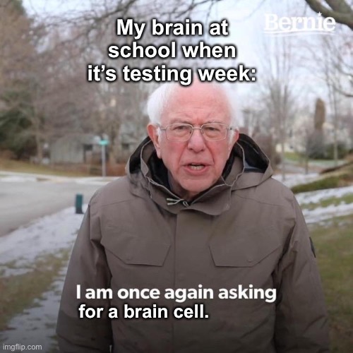 This happens a lot. Help | My brain at school when it’s testing week:; for a brain cell. | image tagged in memes,bernie i am once again asking for your support,funny,funny memes,lol so funny,lol | made w/ Imgflip meme maker