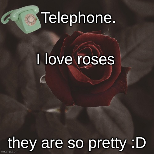 I love roses; they are so pretty :D | image tagged in template | made w/ Imgflip meme maker