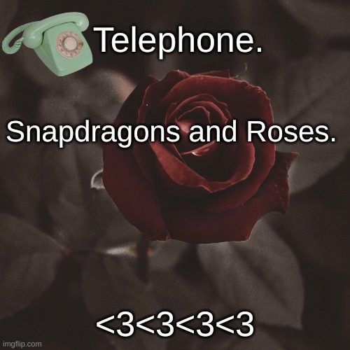 Snapdragons and Roses. <3<3<3<3 | image tagged in template | made w/ Imgflip meme maker