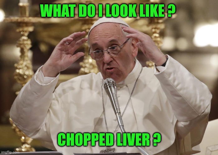 Memes, Pope Aliens | WHAT DO I LOOK LIKE ? CHOPPED LIVER ? | image tagged in memes pope aliens | made w/ Imgflip meme maker