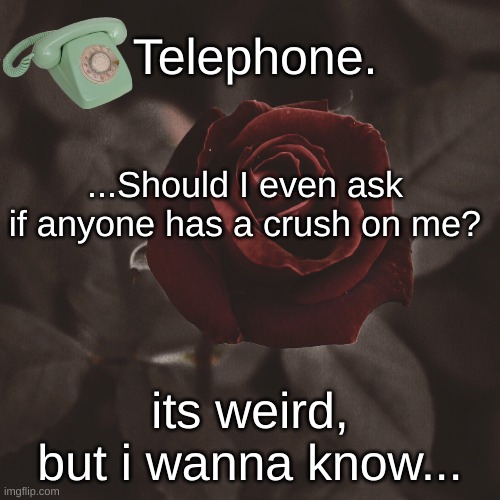 ...Should I even ask if anyone has a crush on me? its weird, but i wanna know... | image tagged in template | made w/ Imgflip meme maker