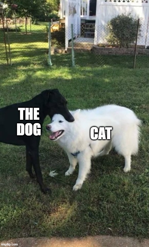 Dog Bite | THE DOG CAT | image tagged in dog bite | made w/ Imgflip meme maker