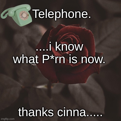 my eyes.. | ....i know what P*rn is now. thanks cinna..... | image tagged in template | made w/ Imgflip meme maker