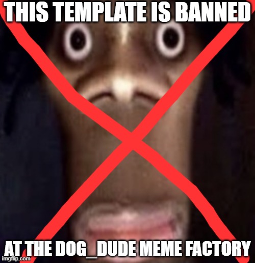 This template is now banned thanks to Blaziken | THIS TEMPLATE IS BANNED; AT THE DOG_DUDE MEME FACTORY | image tagged in quandale dingle,banned,memes | made w/ Imgflip meme maker