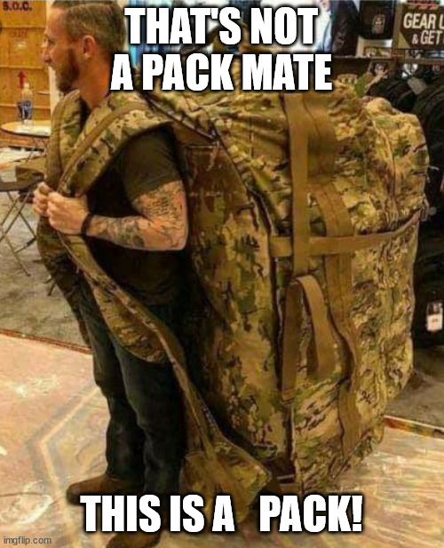 THAT'S NOT A PACK MATE THIS IS A   PACK! | made w/ Imgflip meme maker