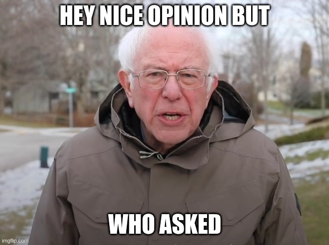 Bernie Sanders Once Again Asking | HEY NICE OPINION BUT; WHO ASKED | image tagged in bernie sanders once again asking | made w/ Imgflip meme maker