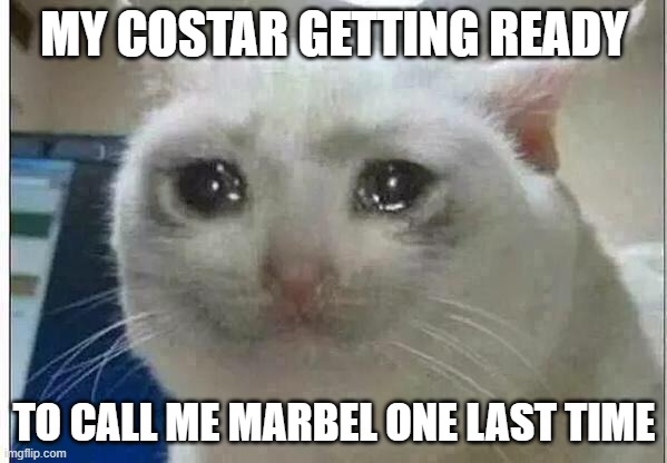 crying cat | MY COSTAR GETTING READY; TO CALL ME MARBEL ONE LAST TIME | image tagged in crying cat | made w/ Imgflip meme maker