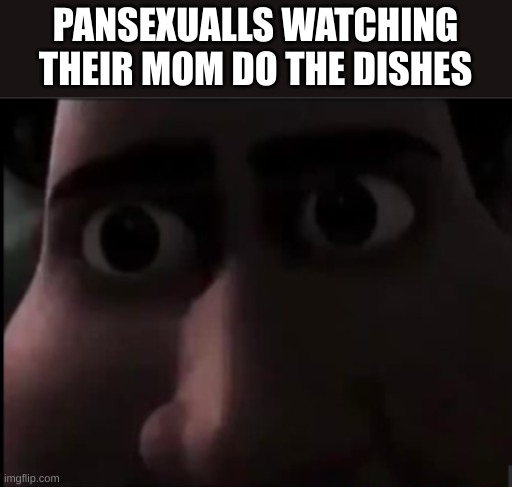 tighten stare | PANSEXUALLS WATCHING THEIR MOM DO THE DISHES | image tagged in tighten stare | made w/ Imgflip meme maker