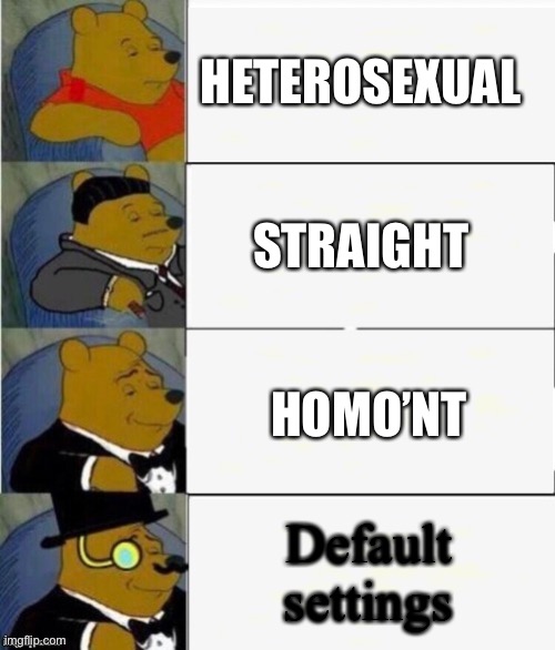 /j | HETEROSEXUAL; STRAIGHT; HOMO’NT; Default settings | image tagged in tuxedo winnie the pooh 4 panel | made w/ Imgflip meme maker