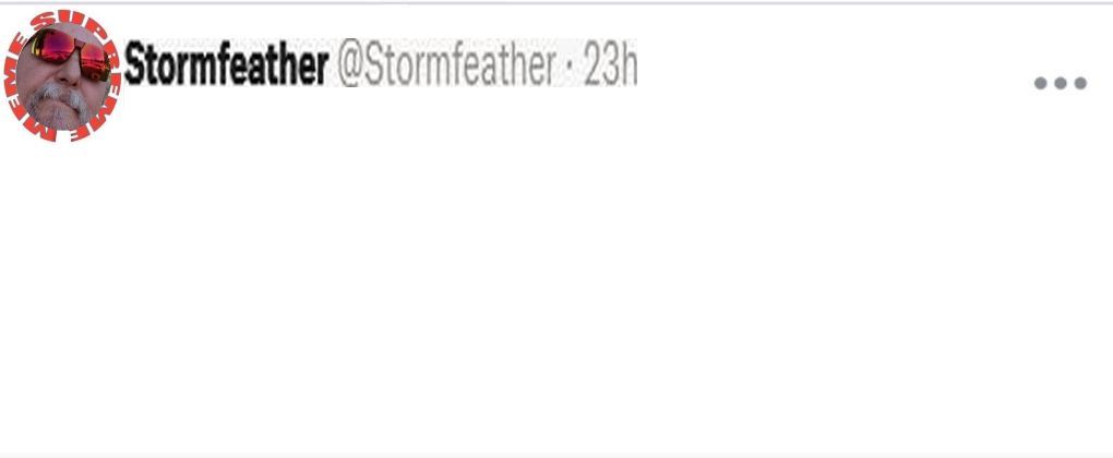 High Quality Stormfeather Twitter Blank Meme Template