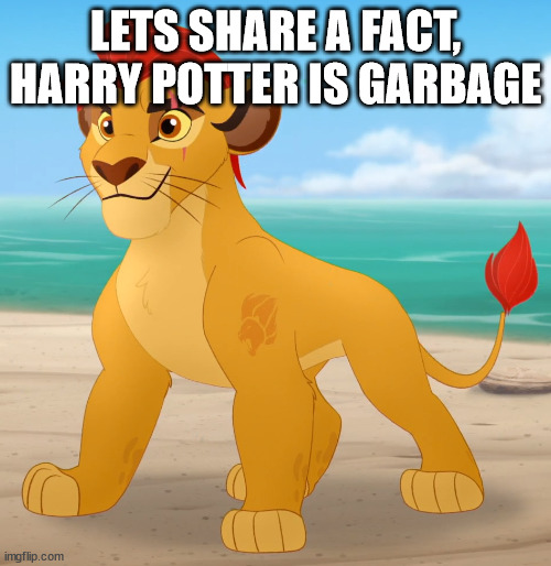 Rare footage | LETS SHARE A FACT, HARRY POTTER IS GARBAGE | image tagged in rare footage,memes | made w/ Imgflip meme maker