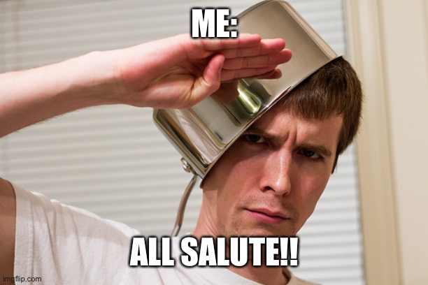 sir yes sir | ME: ALL SALUTE!! | image tagged in sir yes sir | made w/ Imgflip meme maker