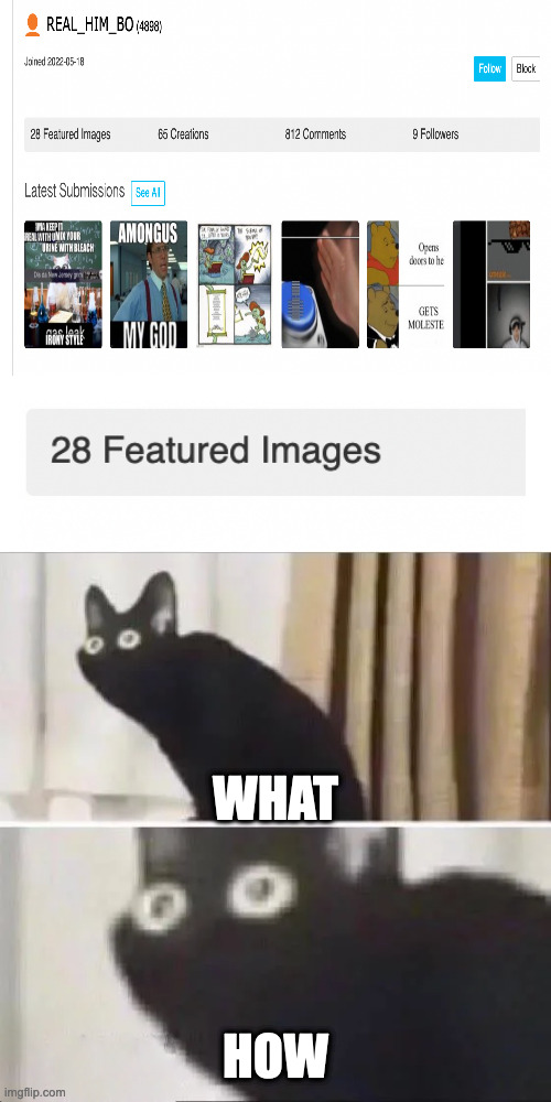 Realhimbo's images get featured?!?!?!? | WHAT; HOW | image tagged in scared cat | made w/ Imgflip meme maker