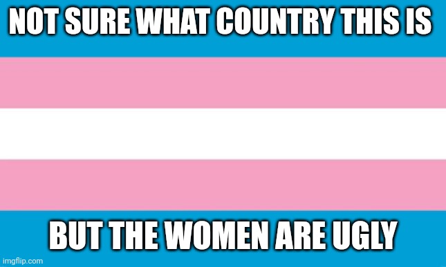 Transgender Flag | NOT SURE WHAT COUNTRY THIS IS; BUT THE WOMEN ARE UGLY | image tagged in transgender flag | made w/ Imgflip meme maker