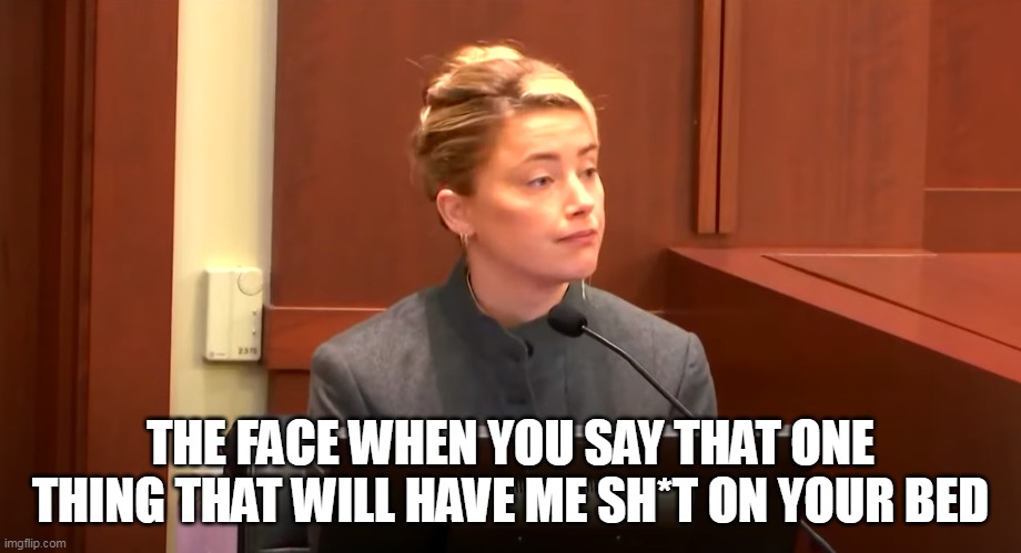 The face When you say that one thing that will have me sh*t on your bed | THE FACE WHEN YOU SAY THAT ONE THING THAT WILL HAVE ME SH*T ON YOUR BED | image tagged in amber heard,poop,funny,angry,the face you make | made w/ Imgflip meme maker