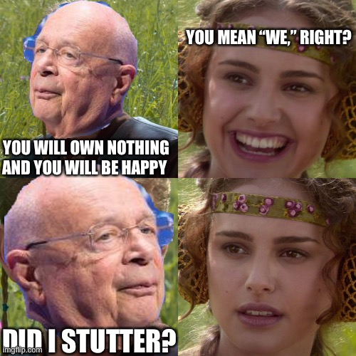 You Will | YOU MEAN “WE,” RIGHT? YOU WILL OWN NOTHING AND YOU WILL BE HAPPY; DID I STUTTER? | image tagged in anakin padme 4 panel | made w/ Imgflip meme maker