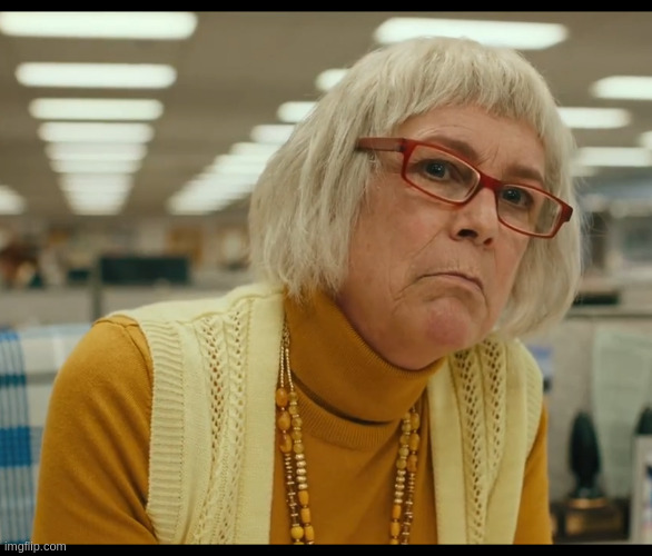 Auditor Bitch | image tagged in auditor bitch | made w/ Imgflip meme maker