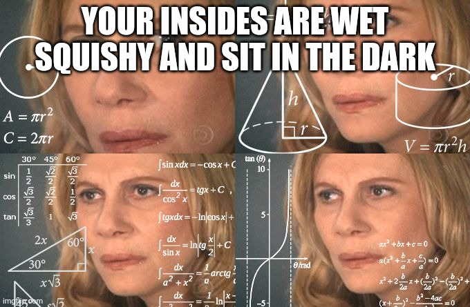 Calculating meme | YOUR INSIDES ARE WET SQUISHY AND SIT IN THE DARK | image tagged in calculating meme | made w/ Imgflip meme maker