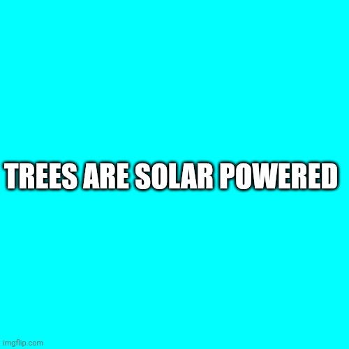 Blank Transparent Square | TREES ARE SOLAR POWERED | image tagged in memes,blank transparent square | made w/ Imgflip meme maker