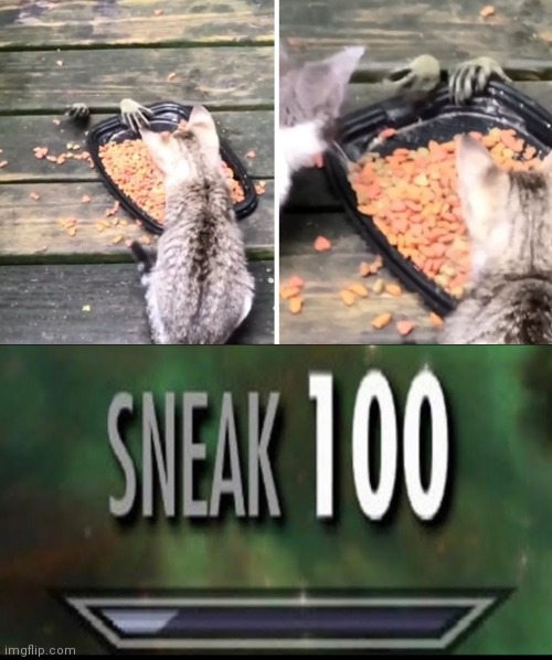 Sneaky sneaky | image tagged in sneak 100,sneaky,kittens,racoon,stealth | made w/ Imgflip meme maker