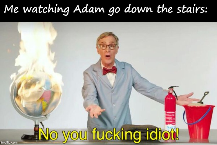 Do you understand? | Me watching Adam go down the stairs: | image tagged in blank black,no you f cking idiot | made w/ Imgflip meme maker
