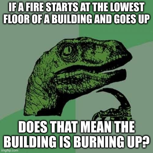 Philosoraptor Meme | IF A FIRE STARTS AT THE LOWEST FLOOR OF A BUILDING AND GOES UP; DOES THAT MEAN THE BUILDING IS BURNING UP? | image tagged in memes,philosoraptor | made w/ Imgflip meme maker