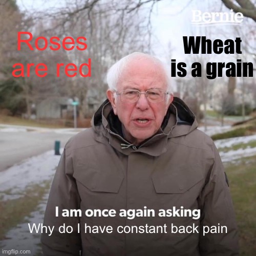 Bernie I Am Once Again Asking For Your Support | Roses are red; Wheat is a grain; Why do I have constant back pain | image tagged in memes,bernie i am once again asking for your support | made w/ Imgflip meme maker