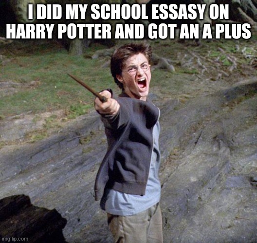 Harry potter | I DID MY SCHOOL ESSASY ON HARRY POTTER AND GOT AN A PLUS | image tagged in harry potter | made w/ Imgflip meme maker