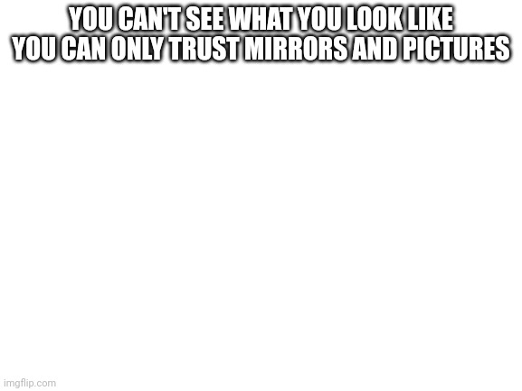 Blank White Template | YOU CAN'T SEE WHAT YOU LOOK LIKE YOU CAN ONLY TRUST MIRRORS AND PICTURES | image tagged in blank white template | made w/ Imgflip meme maker