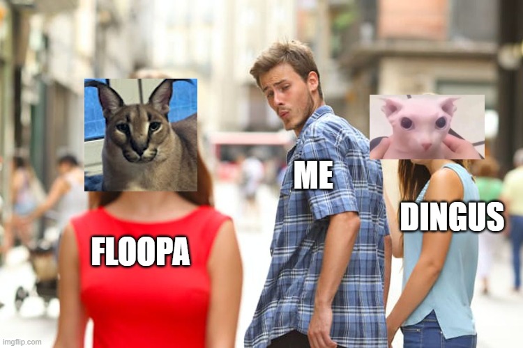 Distracted Boyfriend Meme | ME; DINGUS; FLOOPA | image tagged in memes,distracted boyfriend | made w/ Imgflip meme maker