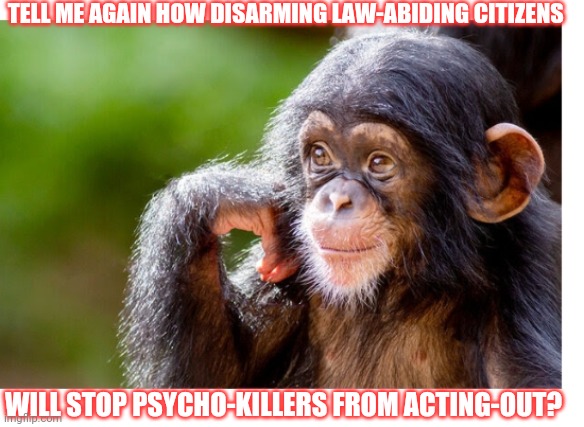 Apparently only Libterds can understand... | TELL ME AGAIN HOW DISARMING LAW-ABIDING CITIZENS; WILL STOP PSYCHO-KILLERS FROM ACTING-OUT? | image tagged in dumbass,libtards | made w/ Imgflip meme maker