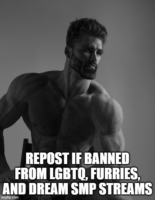 Giga Chad | REPOST IF BANNED FROM LGBTQ, FURRIES, AND DREAM SMP STREAMS | image tagged in giga chad | made w/ Imgflip meme maker