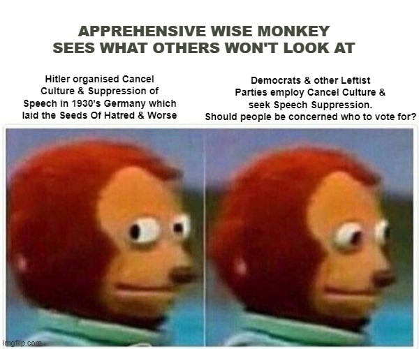 Cancel culture | APPREHENSIVE WISE MONKEY SEES WHAT OTHERS WON'T LOOK AT; Democrats & other Leftist Parties employ Cancel Culture & seek Speech Suppression.
Should people be concerned who to vote for? Hitler organised Cancel Culture & Suppression of Speech in 1930's Germany which laid the Seeds Of Hatred & Worse | image tagged in memes,monkey puppet,free speech,cancel culture | made w/ Imgflip meme maker