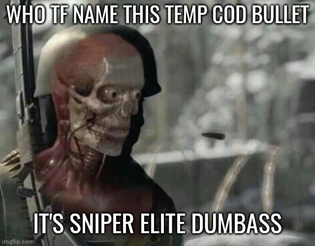 CoD bullet | WHO TF NAME THIS TEMP COD BULLET; IT'S SNIPER ELITE DUMBASS | image tagged in cod bullet | made w/ Imgflip meme maker