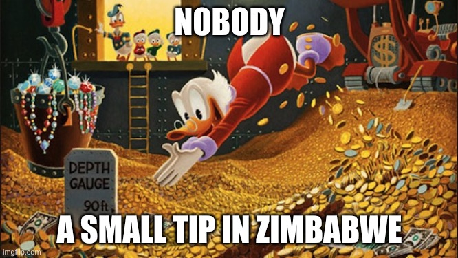 Scrooge McDuck | NOBODY; A SMALL TIP IN ZIMBABWE | image tagged in scrooge mcduck | made w/ Imgflip meme maker