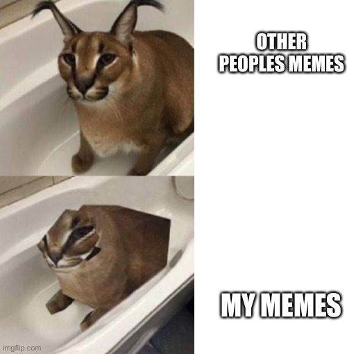 2 Bits Floppa | OTHER PEOPLES MEMES; MY MEMES | image tagged in 2 bits floppa | made w/ Imgflip meme maker