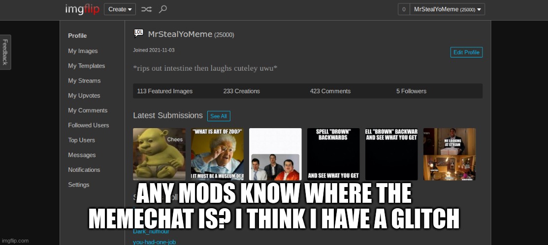 maybe i need to reach certain points? | ANY MODS KNOW WHERE THE MEMECHAT IS? I THINK I HAVE A GLITCH | image tagged in help | made w/ Imgflip meme maker