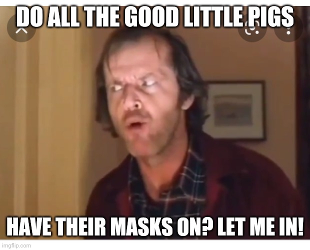 DO ALL THE GOOD LITTLE PIGS HAVE THEIR MASKS ON? LET ME IN! | made w/ Imgflip meme maker