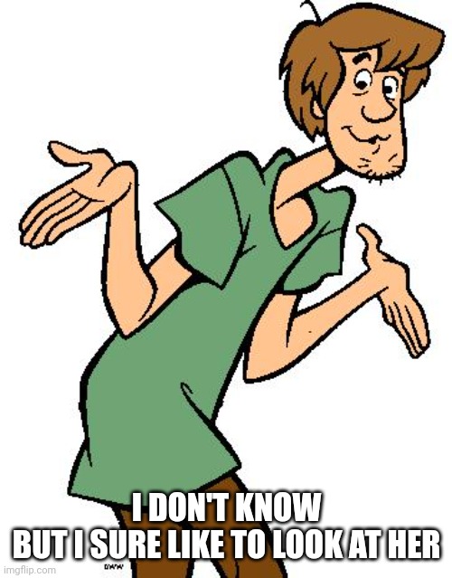 Shaggy from Scooby Doo | I DON'T KNOW
BUT I SURE LIKE TO LOOK AT HER | image tagged in shaggy from scooby doo | made w/ Imgflip meme maker