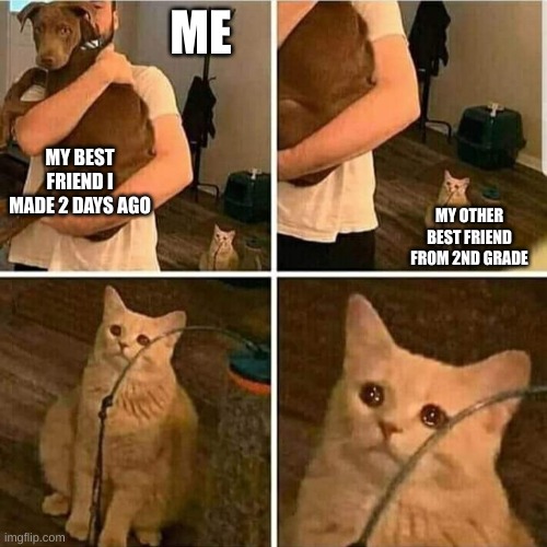Sad Cat Holding Dog |  ME; MY BEST FRIEND I MADE 2 DAYS AGO; MY OTHER BEST FRIEND FROM 2ND GRADE | image tagged in sad cat holding dog | made w/ Imgflip meme maker