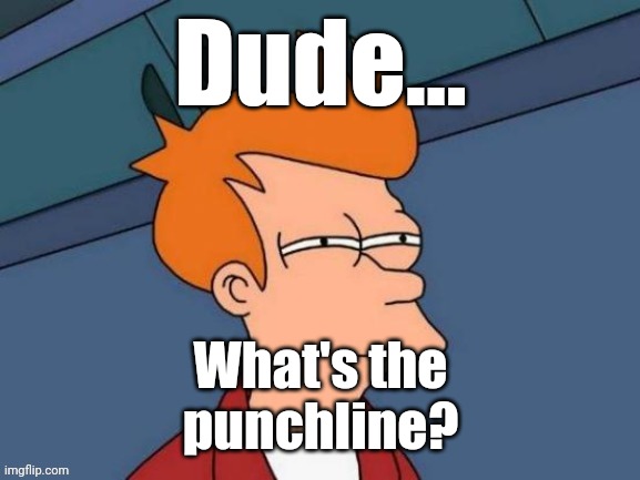 Fry is not sure... | Dude... What's the
punchline? | image tagged in fry is not sure | made w/ Imgflip meme maker